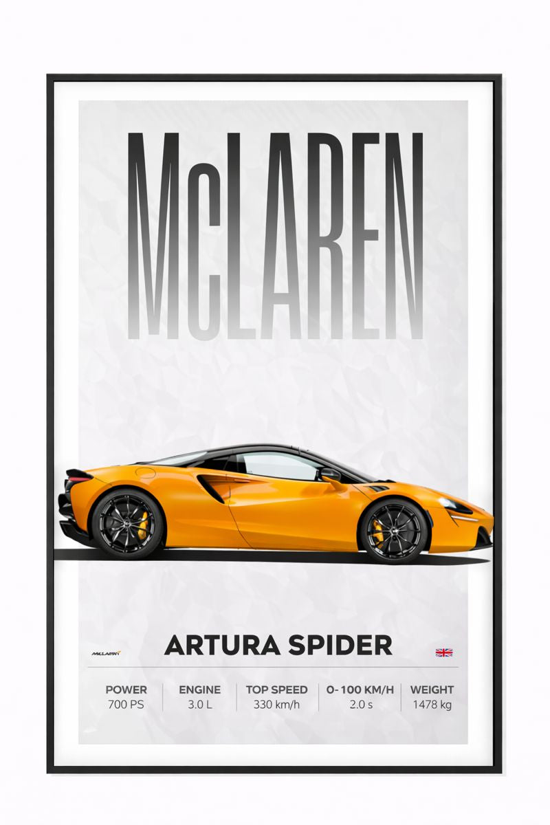 ARTURA SPIDER